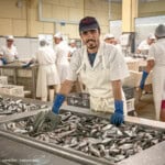 Nuri-Portugal-Fischkonserven-Produktion