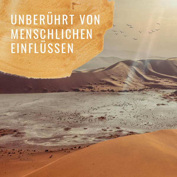 Kalaharisalz_Bildkomposition_2