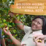 Muskatnuss-HF-Gewürzstudio7