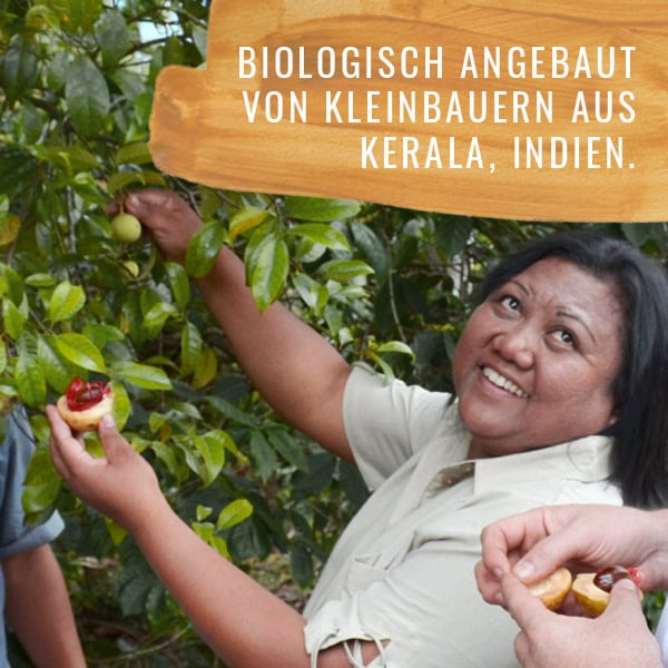 Muskatnuss-HF-Gewürzstudio7