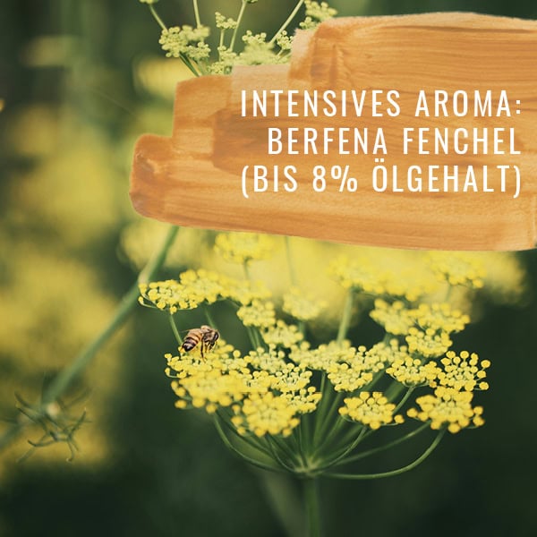 Fenchel-HF-Gewürzstudio-Berfena5