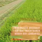 Estragon-HF-Gewürzstudio3