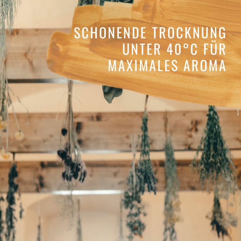 Estragon-HF-Gewürzstudio4