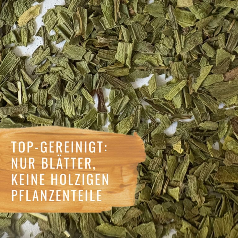 Estragon-HF-Gewürzstudio5