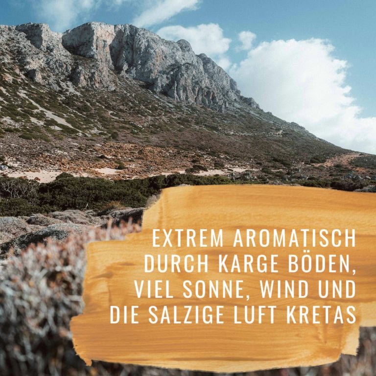 Bildkomposition Rosmarin Gewürzstudio4