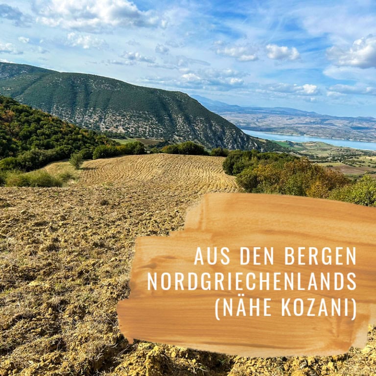 Oregano-HF-Gewürzstudio32