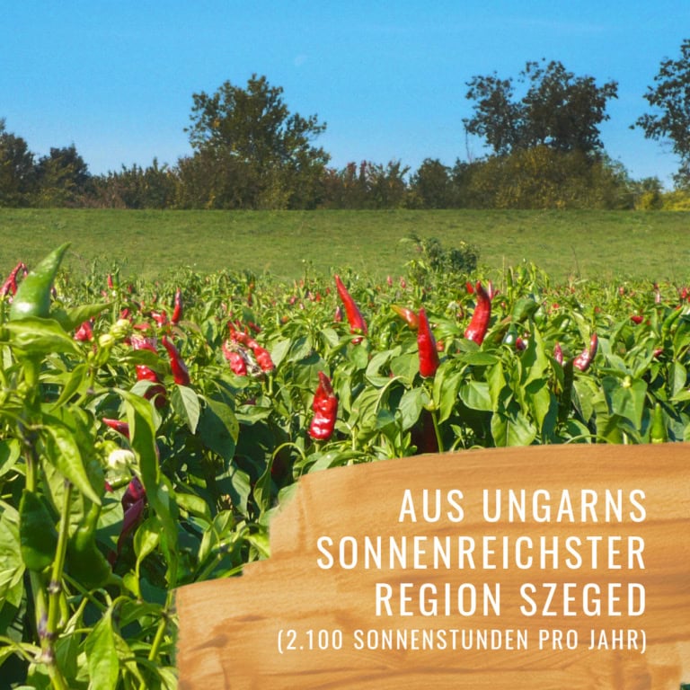 Paprika-Edelsüss-Gewürzstudio-2