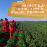 Paprika-Edelsüss-Gewürzstudio-5