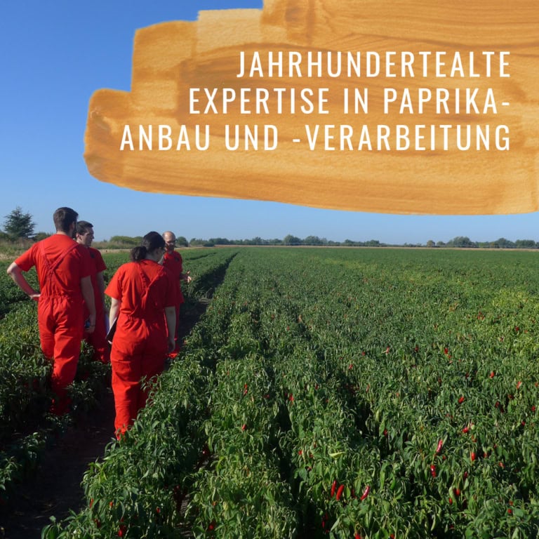 Paprika-Edelsüss-Gewürzstudio-5