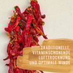 Paprika-Scharf-Gewürzstudio4