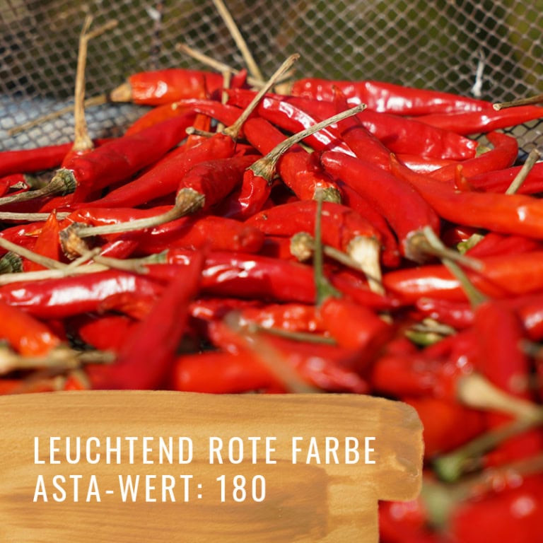 Chili-Szabo-Gewürzstudio-Astawert
