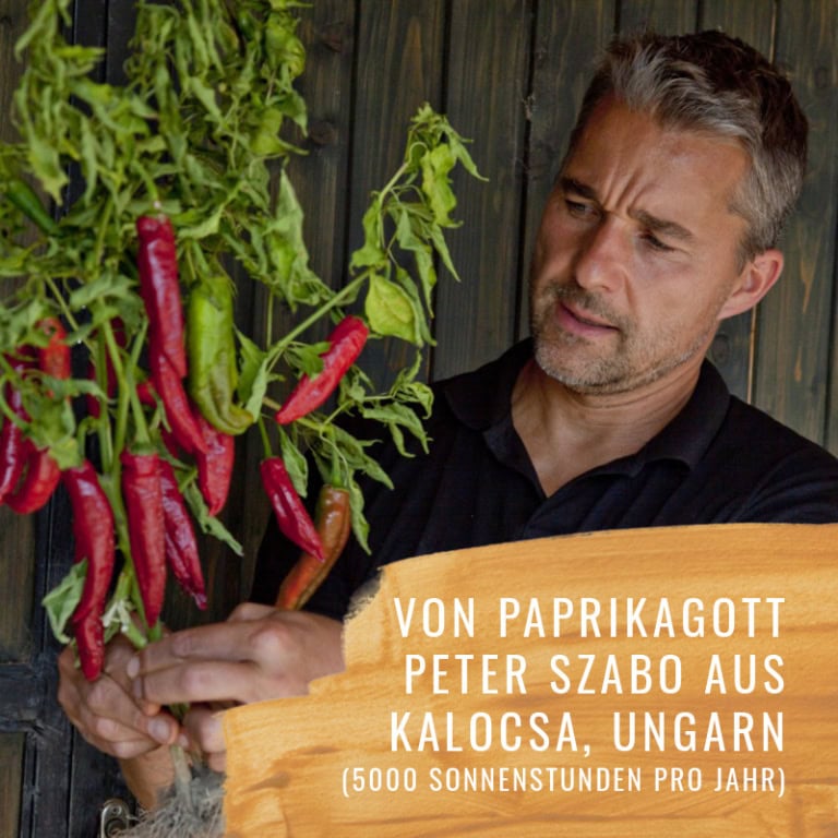 Chili-Szabo-Gewürzstudio-Herkunft